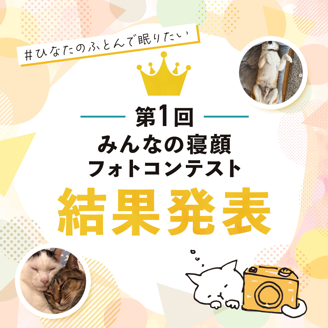 フォトコンテスト結果